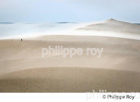 LEVER DU JOUR ET BRUME MATINALE  SUR LA DUNE DU PILAT, BASSIN D' ARCACHON, GIRONDE. (33F31129.jpg)