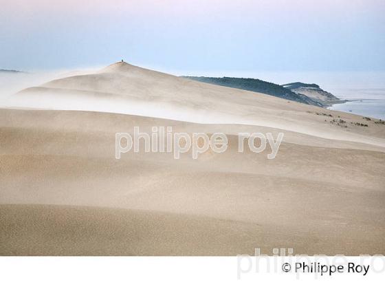 LEVER DU JOUR ET BRUME MATINALE  SUR LA DUNE DU PILAT, BASSIN D' ARCACHON, GIRONDE. (33F31130.jpg)