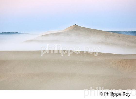 LEVER DU JOUR ET BRUME MATINALE  SUR LA DUNE DU PILAT, BASSIN D' ARCACHON, GIRONDE. (33F31132.jpg)