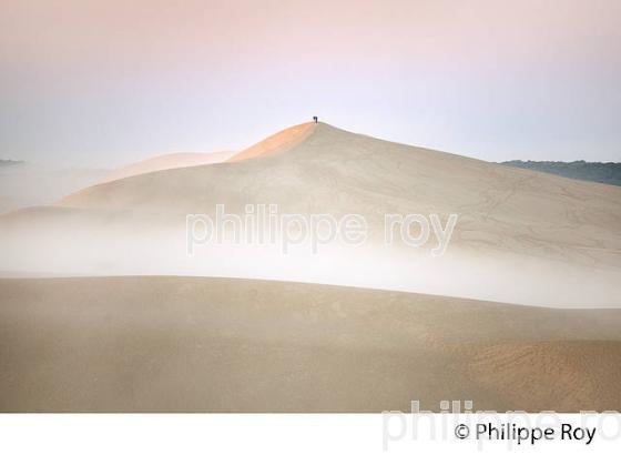 LEVER DU JOUR ET BRUME MATINALE  SUR LA DUNE DU PILAT, BASSIN D' ARCACHON, GIRONDE. (33F31133.jpg)