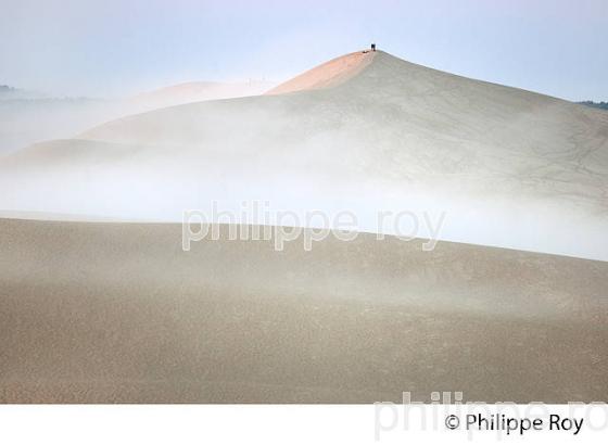 LEVER DU JOUR ET BRUME MATINALE  SUR LA DUNE DU PILAT, BASSIN D' ARCACHON, GIRONDE. (33F31134.jpg)