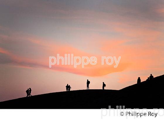 CREPUSCULE SUR LA DUNE DU PILAT, BASSIN D' ARCACHON, GIRONDE. (33F31135.jpg)