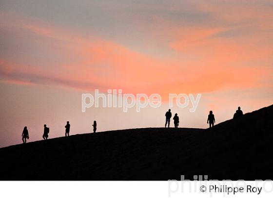 CREPUSCULE SUR LA DUNE DU PILAT, BASSIN D' ARCACHON, GIRONDE. (33F31136.jpg)