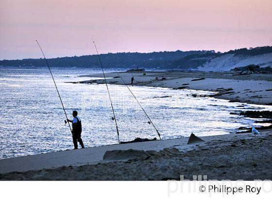 PECHEUR, PLAGE DU PETIT NICE, LATESTE DE BUCH, BASSIN D' ARCACHON, GIRONDE. (33F31219.jpg)