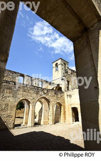 LE CLOITRE DES CORDELIERS, CITE DE SAINT-EMILION, GIRONDE (33F31328.jpg)