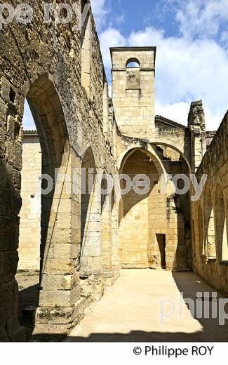 LE CLOITRE DES CORDELIERS, CITE DE SAINT-EMILION, GIRONDE (33F31329.jpg)