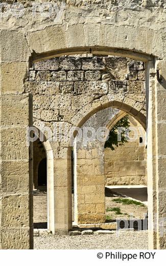 LE CLOITRE DES CORDELIERS, CITE DE SAINT-EMILION, GIRONDE (33F31331.jpg)