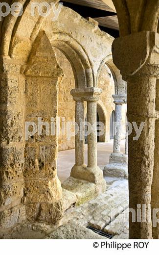 LE CLOITRE DES CORDELIERS, CITE DE SAINT-EMILION, GIRONDE (33F31332.jpg)