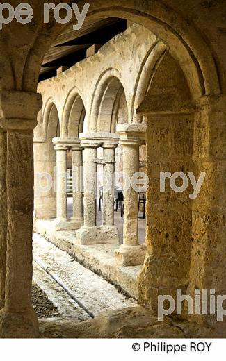 LE CLOITRE DES CORDELIERS, CITE DE SAINT-EMILION, GIRONDE (33F31334.jpg)