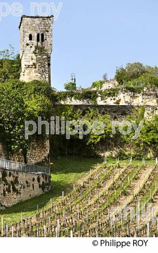 TOUR DU GUETTEUR,  ET REMPART A LA PORTE BRUNET, CITE DE SAINT-EMILION, GIRONDE. (33F31503.jpg)
