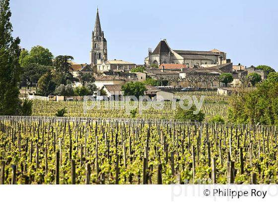 VIGNOBLE ET CITE DE SAINT-EMILION, GIRONDE (33F31505.jpg)