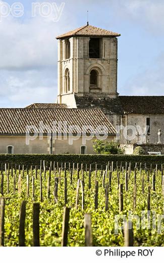 L' EGLISE  ROMANE DE SAINT MARTIN DE MAZERAT,  CITE DE SAINT-EMILION, GIRONDE. (33F31511.jpg)
