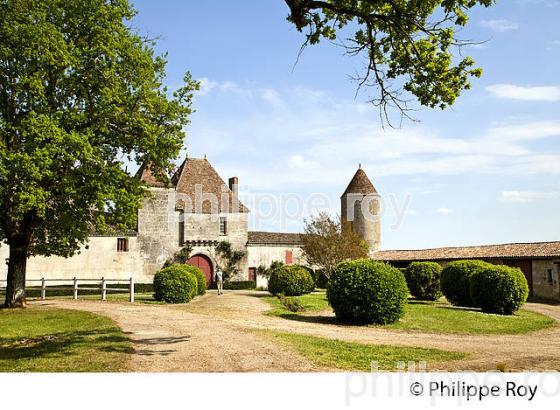 CHATEAU DE CASTEGENS, BELVES DE CASTILLON, GIRONDE (33F31521.jpg)