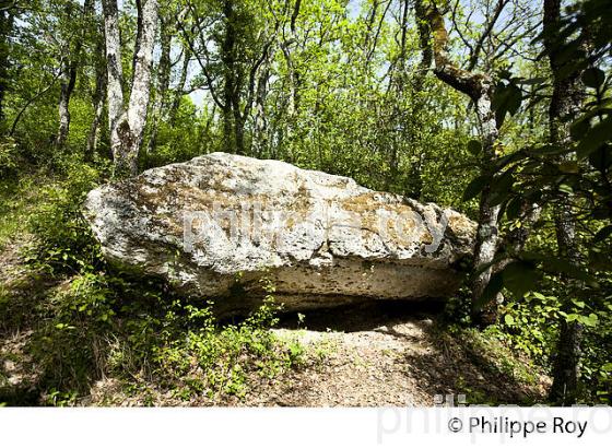 PIERRE DES MARTYRS, MEGALITHE DE PICAMPEAU, LUSSAC, GIRONDE (33F31604.jpg)