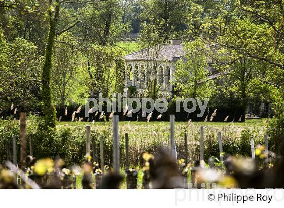VESTIGES ABBAYE DE FAIZE, MAURICE DRUON, LES ARTIGUES DE LUSSAC, GIRONDE. (33F31611.jpg)