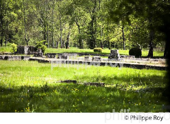 VESTIGES ABBAYE DE FAIZE, MAURICE DRUON, LES ARTIGUES DE LUSSAC, GIRONDE. (33F31614.jpg)