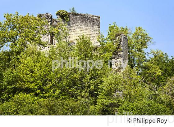 RUINES DU CHATEAU DE MALANGIN, MONTAGNE, GIRONDE. (33F31618.jpg)