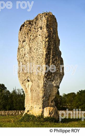 MENHIR DE PIERREFITTE, PEYREFITTE,   SAINT SULPICE DE FALEYRENS, GIRONDE (33F31734.jpg)