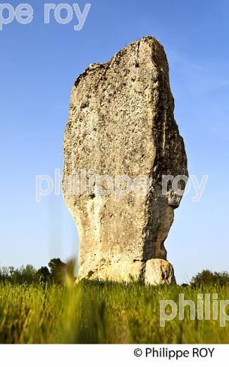 MENHIR DE PIERREFITTE, PEYREFITTE,   SAINT SULPICE DE FALEYRENS, GIRONDE (33F31736.jpg)