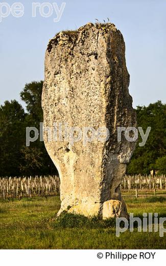 MENHIR DE PIERREFITTE, PEYREFITTE,   SAINT SULPICE DE FALEYRENS, GIRONDE (33F31739.jpg)