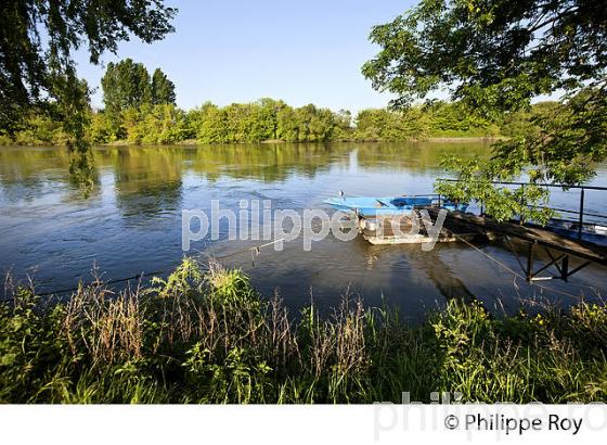 LES BERGES DE LA DORDOGNE A VIGNONET, JURIDICTION DE SAINT-EMILION, GIRONDE. (33F31806.jpg)