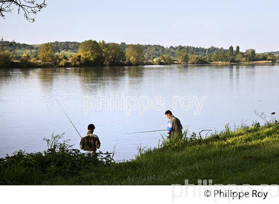 LES BERGES DE LA DORDOGNE A VIGNONET, JURIDICTION DE SAINT-EMILION, GIRONDE. (33F31809.jpg)