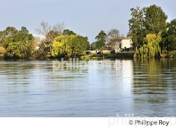 LES BERGES DE LA DORDOGNE A VIGNONET, JURIDICTION DE SAINT-EMILION, GIRONDE. (33F31810.jpg)