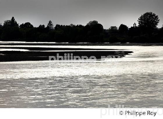 LES BERGES DE LA DORDOGNE A VIGNONET, JURIDICTION DE SAINT-EMILION, GIRONDE. (33F31821.jpg)