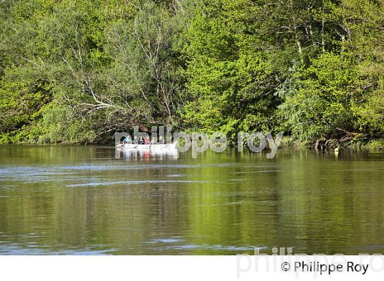 CANOE SUR LA DORDOGNE A VIGNONET, JURIDICTION DE SAINT-EMILION, GIRONDE. (33F31825.jpg)