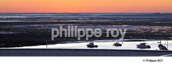 LA POINTE DE L' AIGUILLON, QUARTIER DE L' AIGUILLON, VILLE D ARCACHON, GIRONDE. (33F31828.jpg)