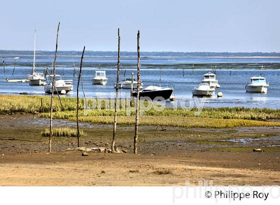 LA POINTE DE L' AIGUILLON, QUARTIER DE L' AIGUILLON, VILLE D ARCACHON, GIRONDE. (33F31832.jpg)