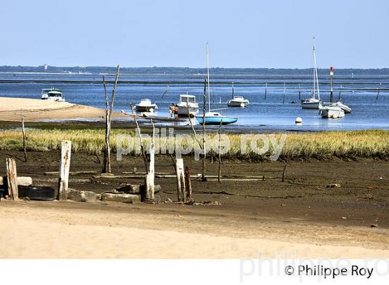 LA POINTE DE L' AIGUILLON, QUARTIER DE L' AIGUILLON, VILLE D ARCACHON, GIRONDE. (33F31833.jpg)