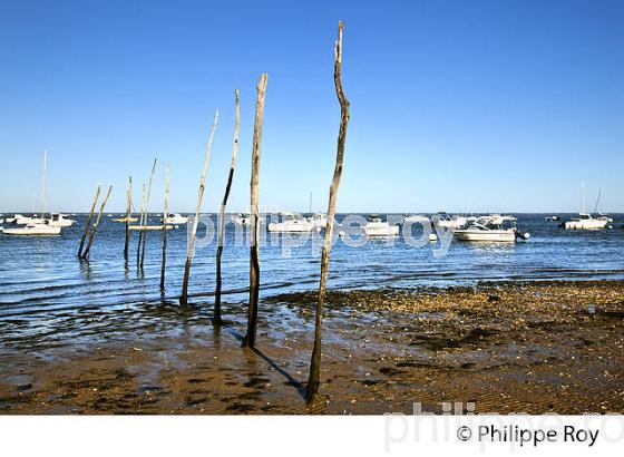 LA POINTE DE L' AIGUILLON, QUARTIER DE L' AIGUILLON, VILLE D ARCACHON, GIRONDE. (33F31834.jpg)