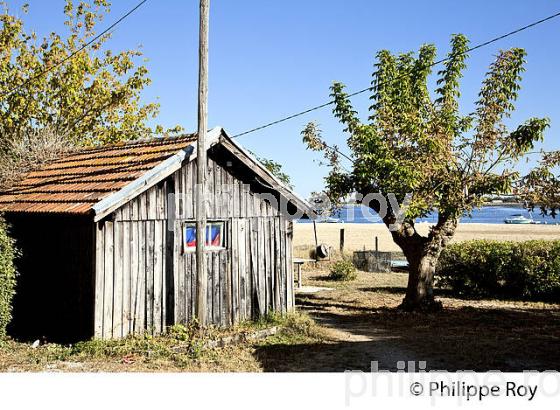 LA POINTE DE L' AIGUILLON, QUARTIER DE L' AIGUILLON, VILLE D ARCACHON, GIRONDE. (33F31837.jpg)
