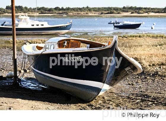 PINASSE ,  POINTE DE L' AIGUILLON, QUARTIER DE L' AIGUILLON, ARCACHON, GIRONDE. (33F31904.jpg)