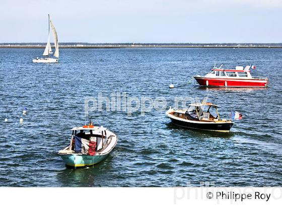 PINASSE  DU BASSIN D' ARCACHON ,  JETEE THIERS, ARCACHON, GIRONDE. (33F31929.jpg)