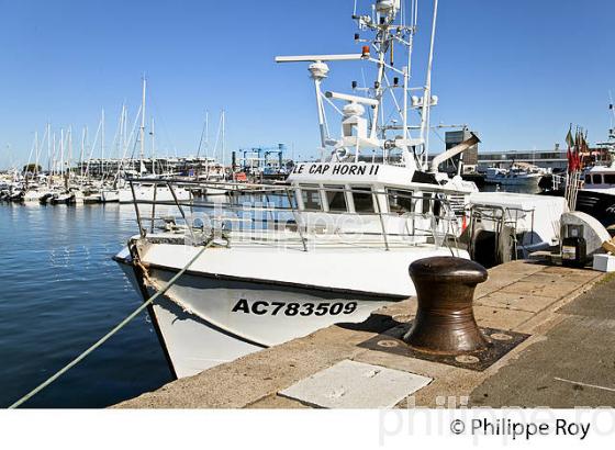 LE PORT DE PECHE  D' ARCACHON, BASSIN D' ARCACHON,  GIRONDE. (33F32232.jpg)