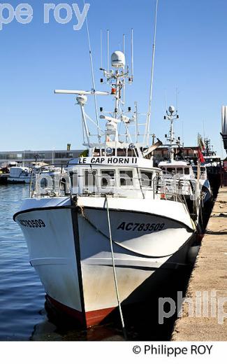 LE PORT DE PECHE  D' ARCACHON, BASSIN D' ARCACHON,  GIRONDE. (33F32233.jpg)