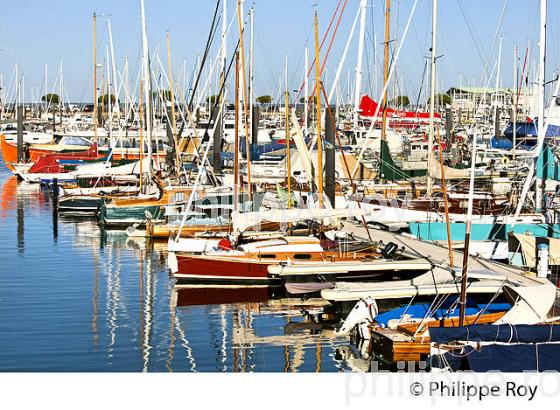 VOILIERS EN BOIS DANS LE PORT D' ARCACHON, BASSIN D' ARCACHON, GIRONDE. (33F32304.jpg)