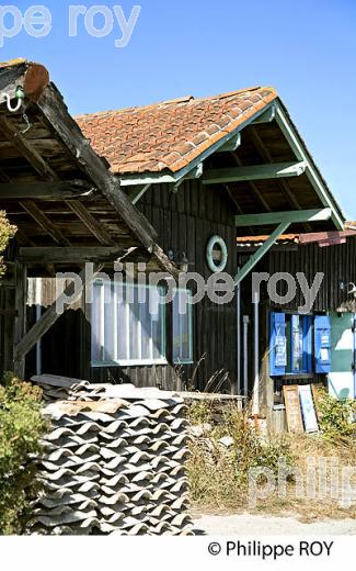 CABANE, PORT OSTREICOLE DE GUJAN-MESTRAS, BASSIN D' ARCACHON, GIRONDE. (33F32319.jpg)