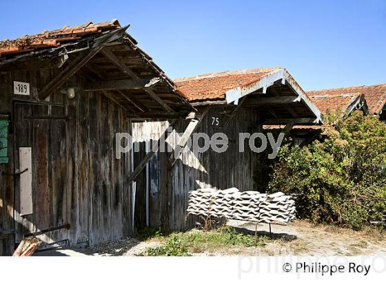 CABANE, PORT OSTREICOLE DE GUJAN-MESTRAS, BASSIN D' ARCACHON, GIRONDE. (33F32322.jpg)