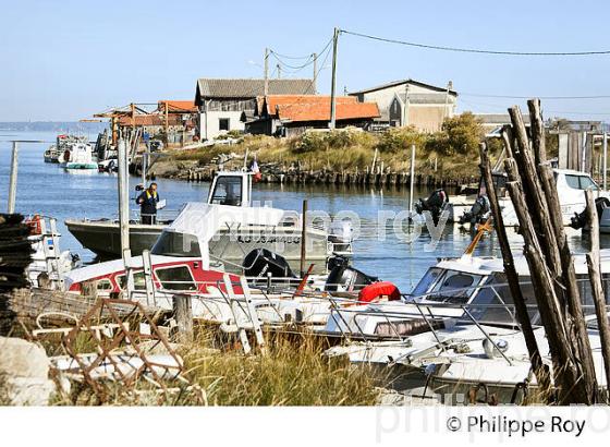 PORT OSTREICOLE DE GUJAN-MESTRAS, BASSIN D' ARCACHON, GIRONDE. (33F32325.jpg)