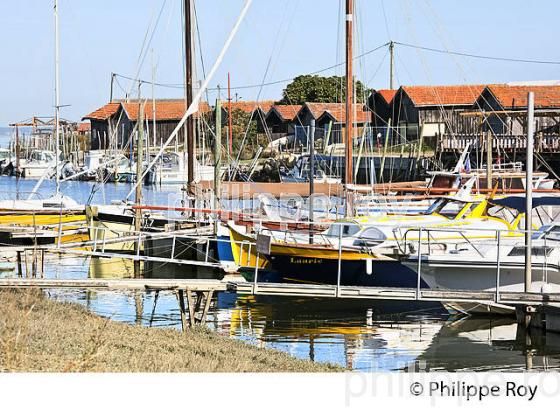 PORT OSTREICOLE DE GUJAN-MESTRAS, BASSIN D' ARCACHON, GIRONDE. (33F32326.jpg)