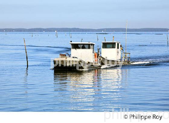 BATEAU D' OSTREICULTEUR, PORT OSTREICOLE DE GUJAN-MESTRAS, BASSIN D' ARCACHON, GIRONDE. (33F32328.jpg)