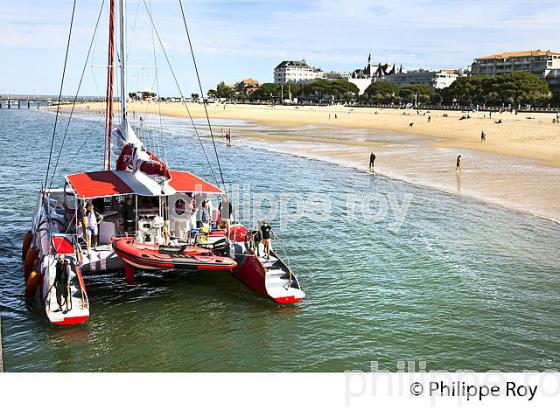 VOILIER TIP TOP TOO, EXCURSION EN MER,  BASSIN D' ARCACHON,  GIRONDE. (33F32404.jpg)