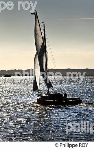 BAC A VOILE VOILIER, VIEUX GREEMENT,  BASSIN D' ARCACHON,  GIRONDE. (33F32423.jpg)