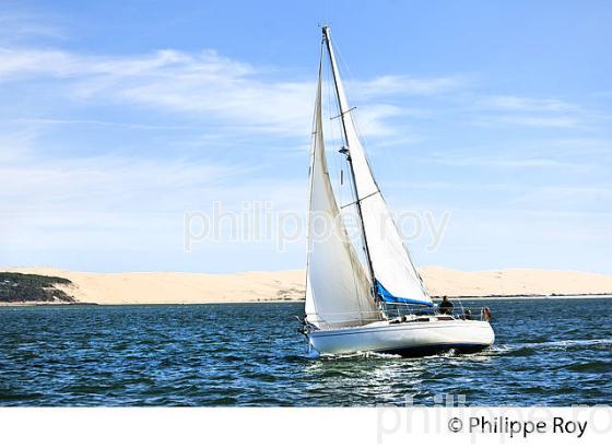 VOILIER  ET DUNE DU PILAT, BASSIN D' ARCACHON, GIRONDE. (33F32427.jpg)