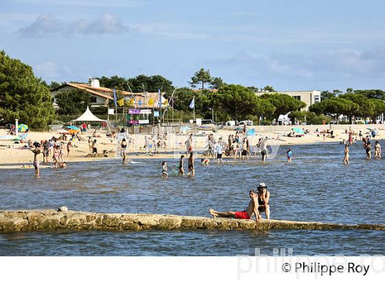 LA PLAGE  DU BETEY, ANDERNOS-LES-BAINS, BASSIN D' ARCACHON, GIRONDE. (33F32525.jpg)