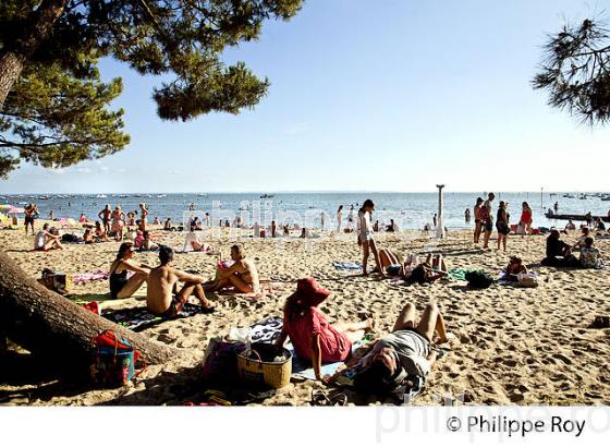 PINEDE ET PLAGE  DU BETEY, ANDERNOS-LES-BAINS, BASSIN D' ARCACHON, GIRONDE. (33F32528.jpg)