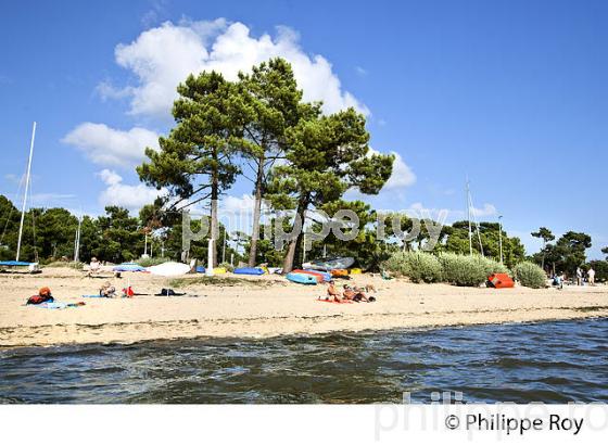 PINEDE ET PLAGE  DU BETEY, ANDERNOS-LES-BAINS, BASSIN D' ARCACHON, GIRONDE. (33F32531.jpg)